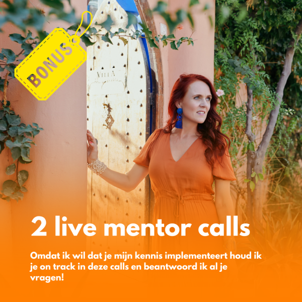 2-live-mentor-calls
